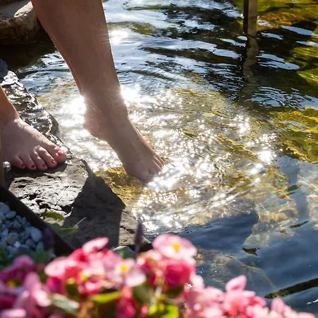 Boutiquehotel Bergvilla Am Fusse Der Alpen (adults Only) Hotel Dafins