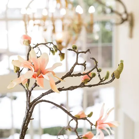 Szálloda Boutiquehotel Bergvilla (adults Only)